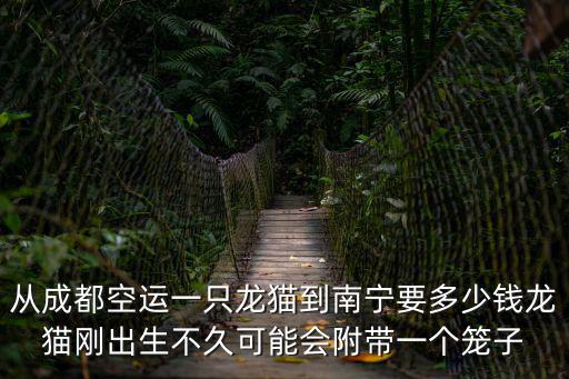 空運龍貓箱子多少錢，從北京運送一只龍貓到山東東營需要多少錢