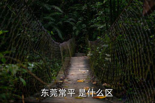 東莞常平鎮屬于哪個區，東莞常平鎮屬于什么區
