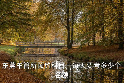 東莞車管所預(yù)約科目一每天要考多少個名額