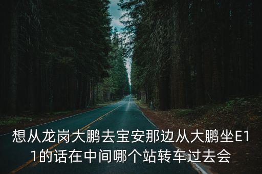 想從龍崗大鵬去寶安那邊從大鵬坐E11的話在中間哪個站轉車過去會