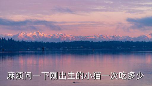 麻煩問一下剛出生的小貓一次吃多少