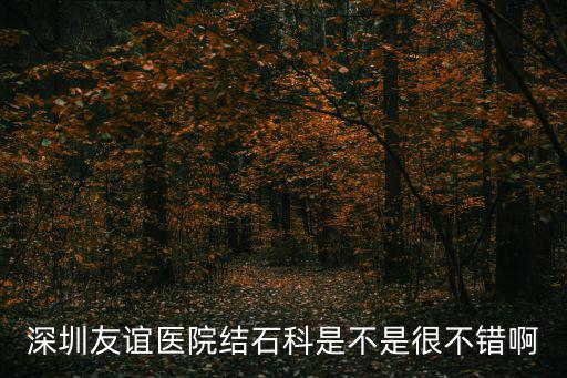 深圳友誼醫(yī)院結(jié)石科是不是很不錯啊