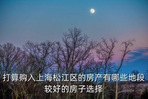 打算購入上海松江區(qū)的房產(chǎn)有哪些地段較好的房子選擇