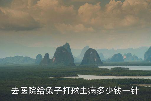 去醫院給兔子打球蟲病多少錢一針