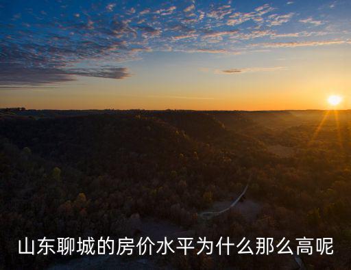 山東聊城的房?jī)r(jià)水平為什么那么高呢