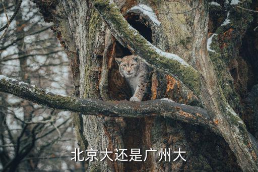 北京大還是廣州大
