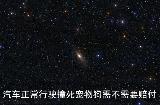 汽車正常行駛撞死寵物狗需不需要賠付