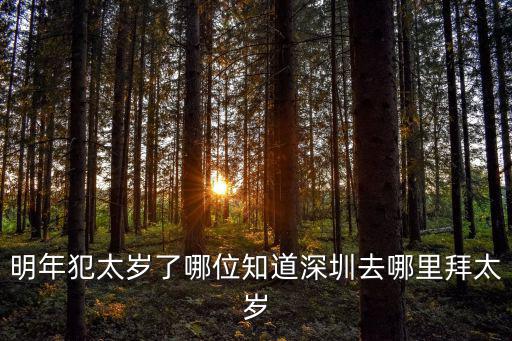 明年犯太歲了哪位知道深圳去哪里拜太歲