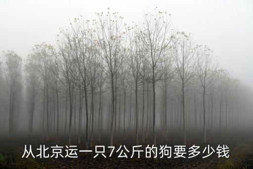 北京的寵物托運多少錢，從北京運一只7公斤的狗要多少錢