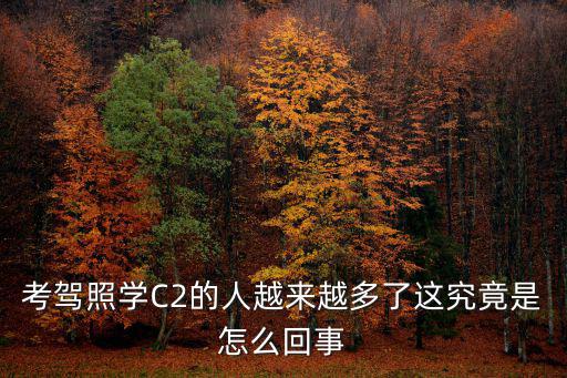 考駕照學(xué)C2的人越來越多了這究竟是怎么回事