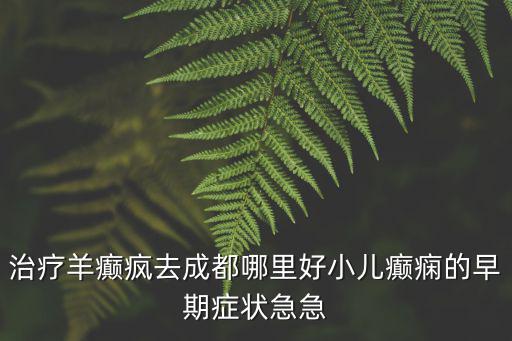 成都市中西結(jié)合兒童康復(fù)中心，治療羊癲瘋?cè)コ啥寄睦锖眯喊d癇的早期癥狀急急