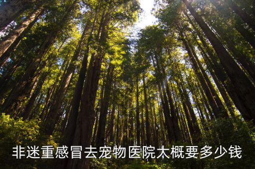 動物醫院消費大概多少錢，帶狗去寵物醫院看病一次最少花多少錢
