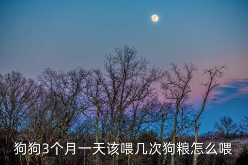狗狗3個月一天該喂幾次狗糧怎么喂