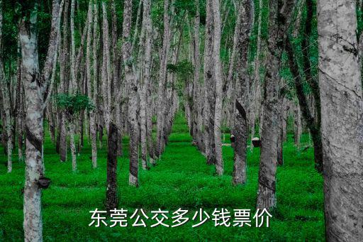 東莞公交多少錢票價