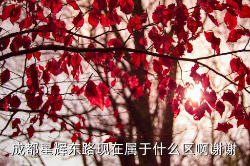 成都星輝東路現在屬于什么區啊謝謝