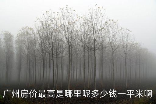 廣州房?jī)r(jià)最高是哪里呢多少錢一平米啊