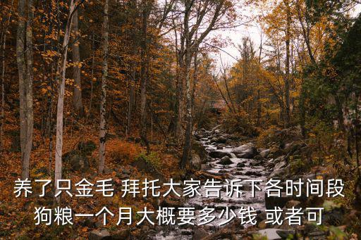 養了只金毛 拜托大家告訴下各時間段狗糧一個月大概要多少錢 或者可