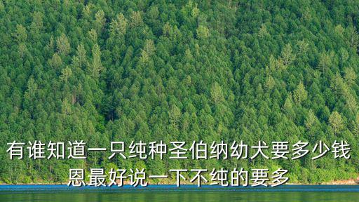 有誰知道一只純種圣伯納幼犬要多少錢恩最好說一下不純的要多