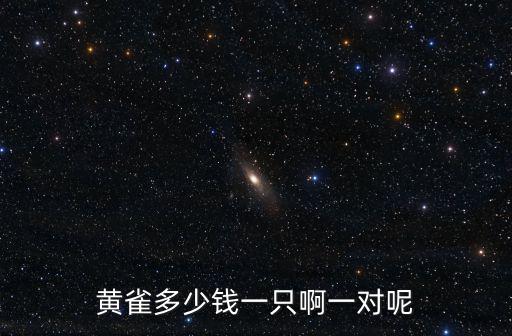 黃雀多少錢一只啊一對呢