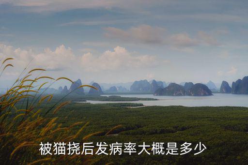 貓抓了得病機率是多少，被貓撓后發病率大概是多少