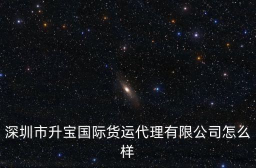 深圳市升寶國(guó)際貨運(yùn)代理有限公司怎么樣