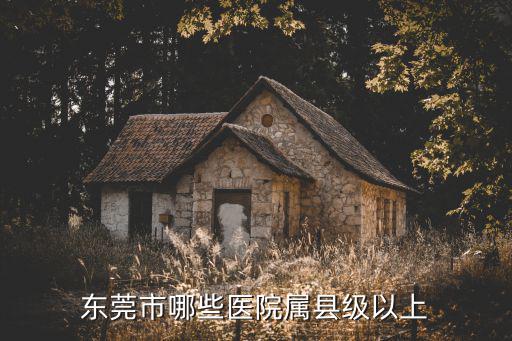 東莞大嶺山醫(yī)院級別，東莞大嶺山有哪些鎮(zhèn)級以上醫(yī)院