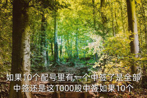 如果10個配號里有一個中簽了是全部中簽還是這1000股中簽如果10個