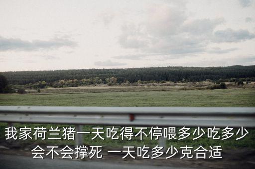 我家荷蘭豬一天吃得不停喂多少吃多少會不會撐死 一天吃多少克合適