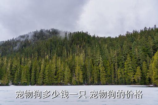 寵物狗多少錢一只 寵物狗的價格