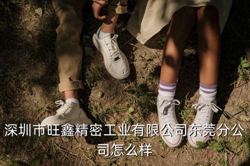 深圳市旺鑫精密工業有限公司東莞分公司怎么樣