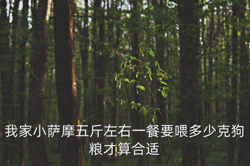我家小薩摩五斤左右一餐要喂多少克狗糧才算合適
