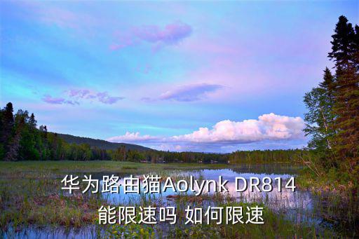 華為路由貓Aolynk DR814 能限速嗎 如何限速