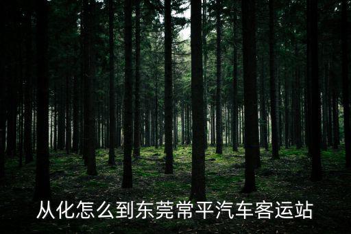 從化怎么到東莞常平汽車客運站