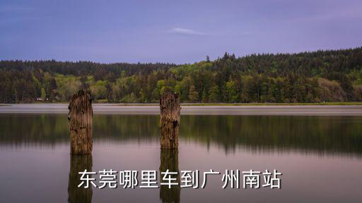 東莞哪里車到廣州南站