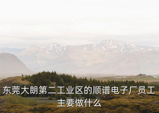東莞大朗第二工業區的順譜電子廠員工主要做什么