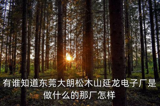 有誰知道東莞大朗松木山延龍電子廠是做什么的那廠怎樣
