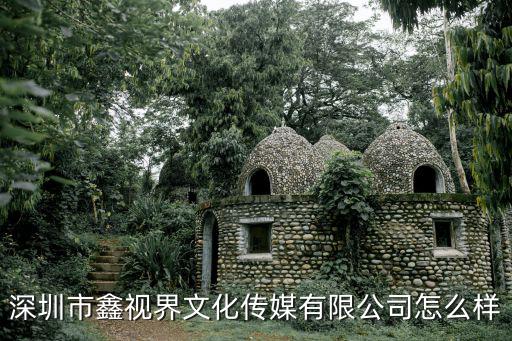深圳市鑫視界文化傳媒有限公司怎么樣