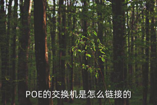 poe和光端機怎么連接，POE的交換機是怎么鏈接的