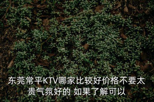 東莞常平KTV哪家比較好價格不要太貴氣氛好的 如果了解可以