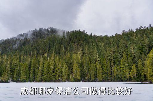成都哪家保潔公司做得比較好