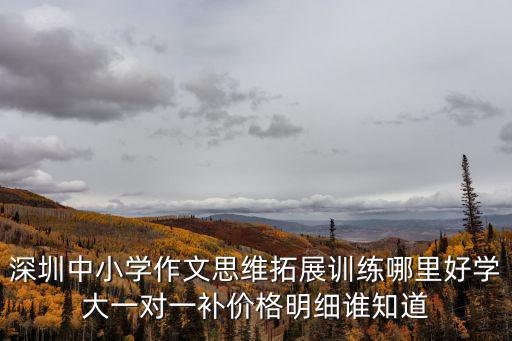 深圳中小學作文思維拓展訓練哪里好學大一對一補價格明細誰知道