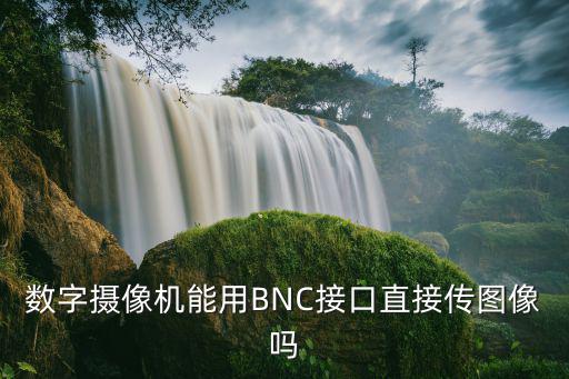 數(shù)字?jǐn)z像機(jī)能用BNC接口直接傳圖像嗎