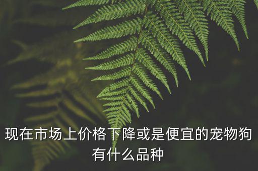 現在市場上價格下降或是便宜的寵物狗有什么品種