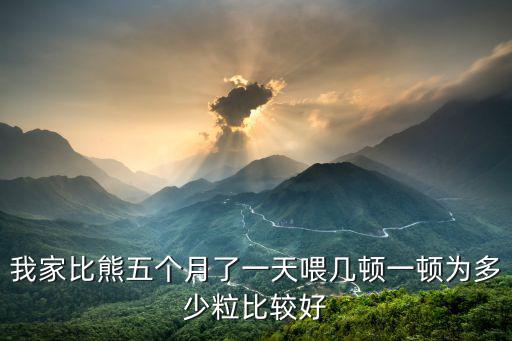 比熊5個月吃多少狗糧，五個月大的比熊一天可以吃幾個蛋黃一天喂多少狗糧