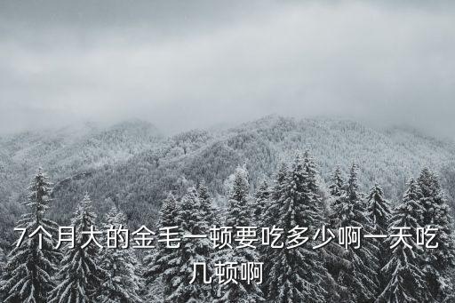 7個月大的金毛一頓要吃多少啊一天吃幾頓啊