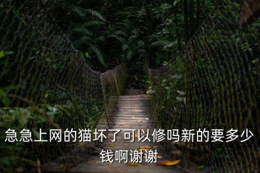 急急上網(wǎng)的貓壞了可以修嗎新的要多少錢啊謝謝
