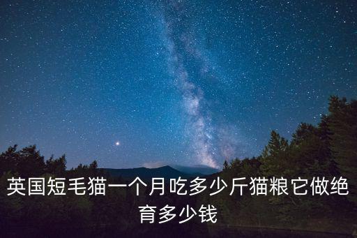 英國短毛貓一個月吃多少斤貓糧它做絕育多少錢