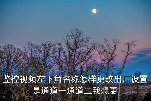 監控視頻左下角名稱怎樣更改出廠設置是通道一通道二我想更