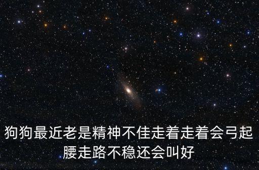 狗狗最近老是精神不佳走著走著會弓起腰走路不穩還會叫好