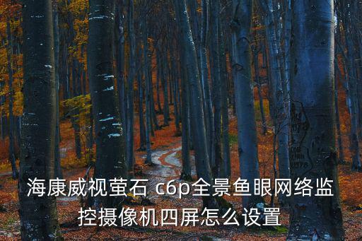 海康威視螢石 c6p全景魚眼網絡監控攝像機四屏怎么設置
